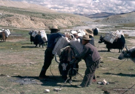 Click for large image