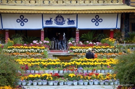 Click for large image