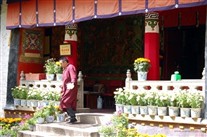 Click for large image